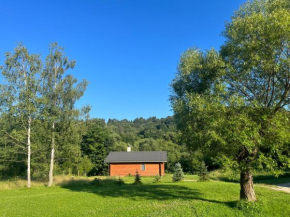 Bieszczady Domki w Dolinie Sanu